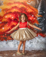 Load image into Gallery viewer, Joy to the World