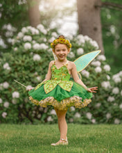Load image into Gallery viewer, Pixie Dust Pre-Order