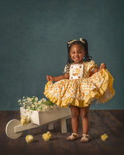 Load image into Gallery viewer, Chickadee