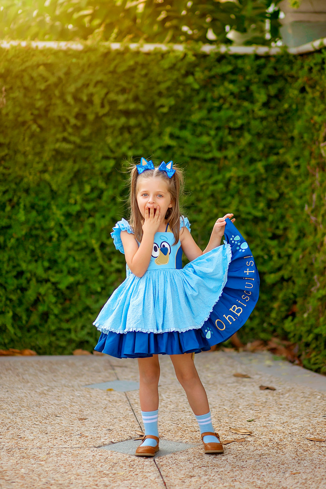 Oh, Biscuits! Pre-Order