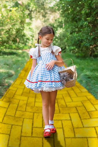 Yellow Brick Road