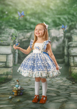 Load image into Gallery viewer, Bluebirds