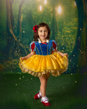 Load image into Gallery viewer, Girls blue and yellow fairytale princess dress with velvet bodice and full organza skirt
