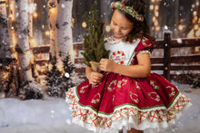 Load image into Gallery viewer, Boutique Christmas dress for girls with wreath embroidery and twirl skirt